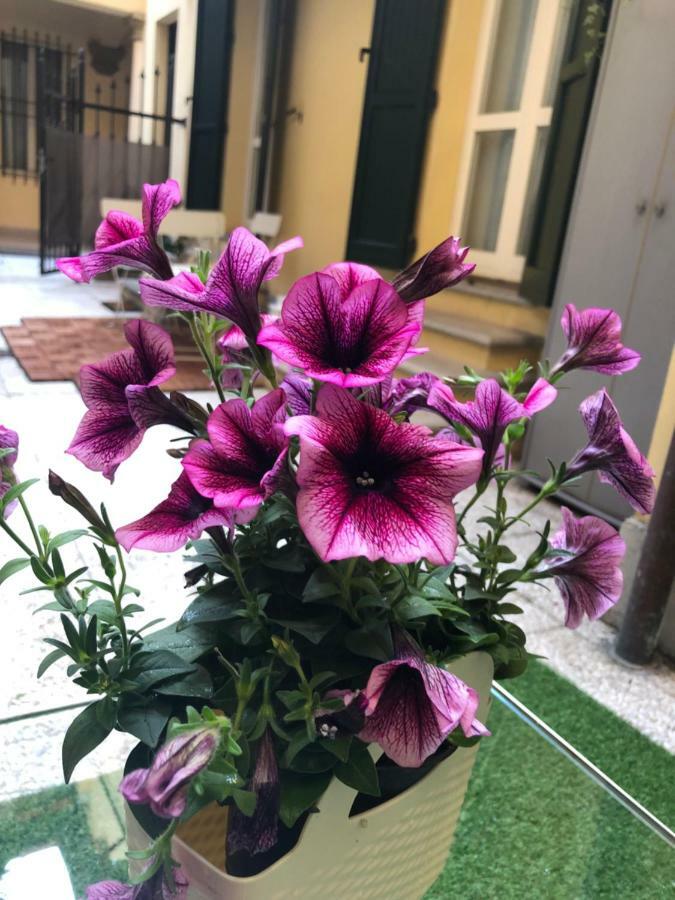 Le Palme Lägenhet Bologna Exteriör bild